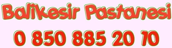 Bal�kesir do�um g�n� ya� pasta �e�itleri yolla g�nder