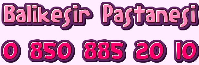 Bal�kesir ya� pasta �e�itleri do�um g�n� patas� yolla g�nder