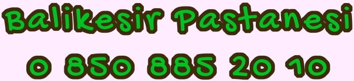 Bal�kesir ya� pasta sipari�i yolla do�um g�n� pastas� g�nder