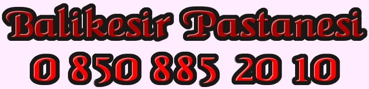 Bal�kesir do�um g�n� pasta �e�itleri pasta yolla g�nder